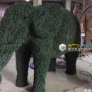 大象裝飾草-景觀工程 (1)