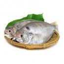 三去肉魚(300g/2入) 新鮮鮮魚/肉質細緻/絕無腥味 結單日期:112.03.24