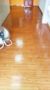 木質地板清洗打蠟