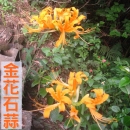 台灣綠地科技園藝
