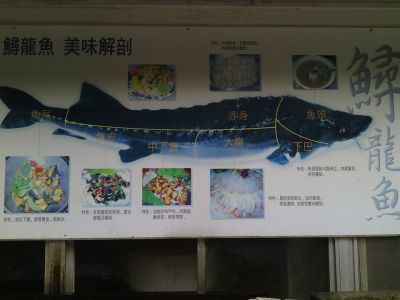 南庄鱒魚養殖場