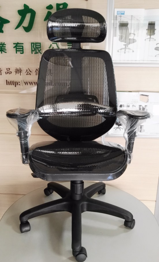 全網人體工學椅D-0041
