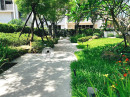竹北建案-砌花台 砌石 楓港石 生態池8