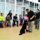 犬隻行為矯正訓練研習會2