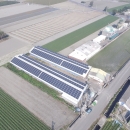 雲林褒忠畜牧場免費更換浪板 出租裝太陽能板