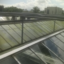溫室屋頂青苔清洗