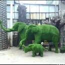 大象裝飾草-景觀工程 (2)