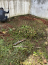 廢棄物清運整地及鋪草皮 (4)