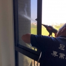使用噴水槍噴灑窗戶檢測是否有裂縫、滲漏水案例