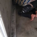 台南民權路浴室施作樹脂彈性水泥