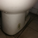 新興通廁所