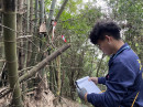 森林資源調查