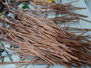 銅電線回收-辰鴻企業社