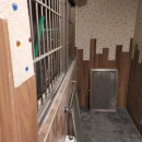 公共廁所工程 (4)