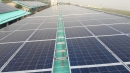 鴨舍屋頂太陽能施工