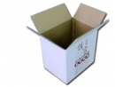 瓦楞紙箱 (3)