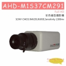 AHD-M1S37CM291 彩色槍型攝影機