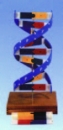 精緻型DNA模型( 日貨)