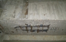 新舊建案成屋鋼筋腐蝕檢測 / 混泥土磅數實測