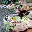 庭園水池造景設計規劃