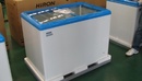 HiRON海容 3尺7 玻璃推拉冷凍櫃 (HSD-358)