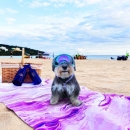 超細纖維海灘舖巾 客製化設計 野餐舖巾 瑜珈舖用