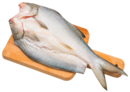 生薄鹽竹筴魚
